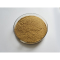 Hot Selling Natural Seaweed Extract Powder